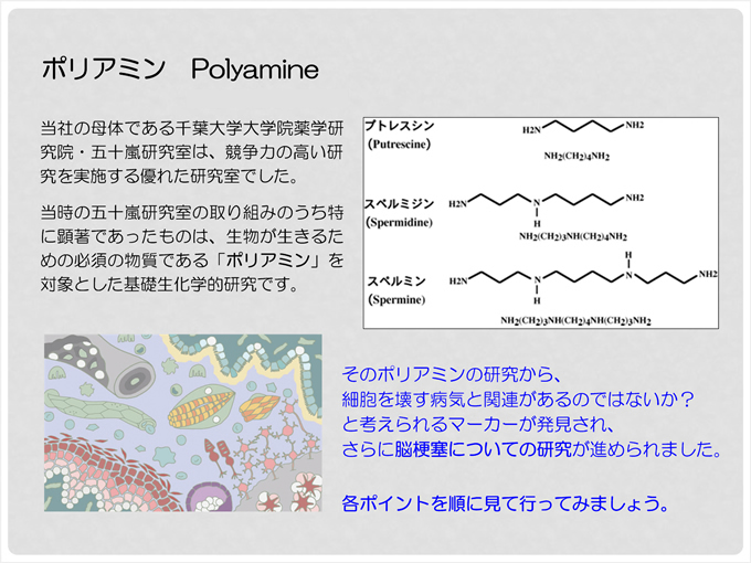 ポリアミン（Polyamine） 